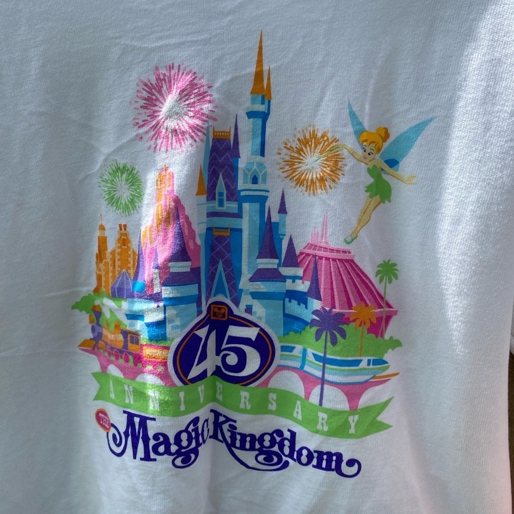 Magic Kingdom 45th Anniversary Sweatshirt